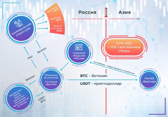 Cripto001.jpg