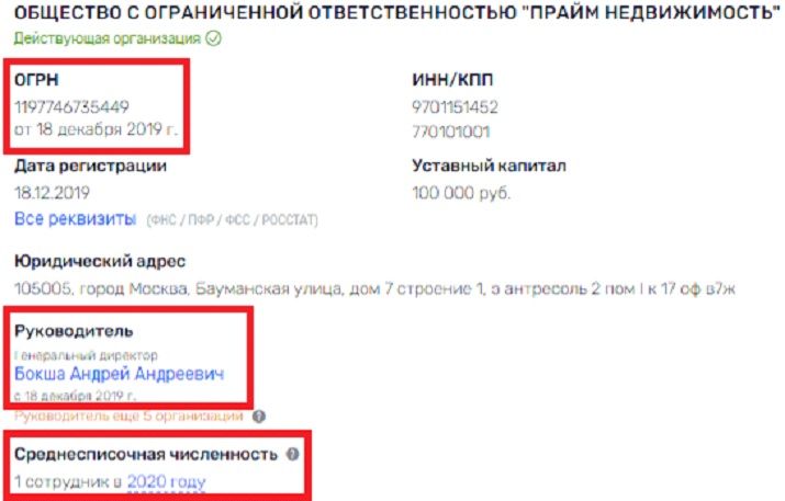 Как следует из скриншота с "Руспрофайла", компания была основана в конце 2019 года, как будто специально под конкретный проект. В структуре явно прослеживаются признаки фиктивности?