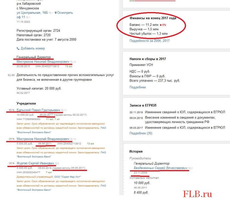 Карточка ООО «Алькума». Опять же депутат Госдумы Сергей Фургал – один из трёх соучредителей (доля 25%)