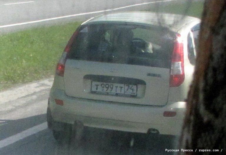 Kalina89983.jpg