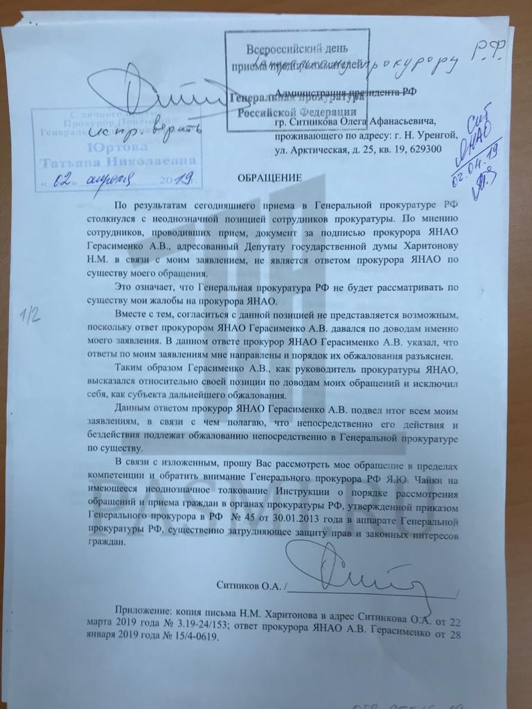 Chayka-sitnikov.jpg