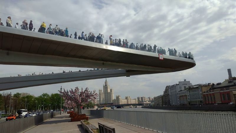 Парк "Зарядье", Раковый мост. Внизу - всепогодная пластмассовая сакура