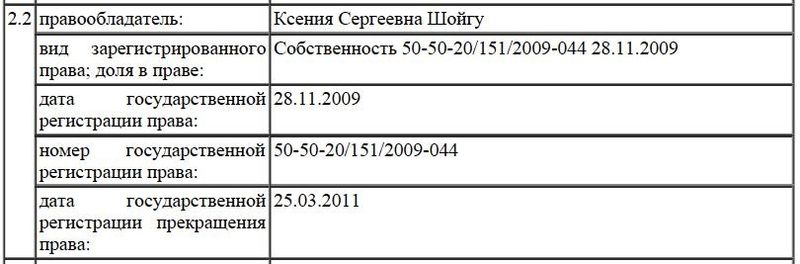 Dom-shoygu5.jpg